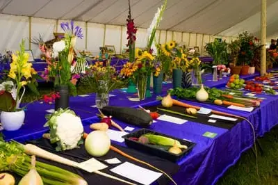 Home-grown produce and floral entries arranged on the horticulture show benches