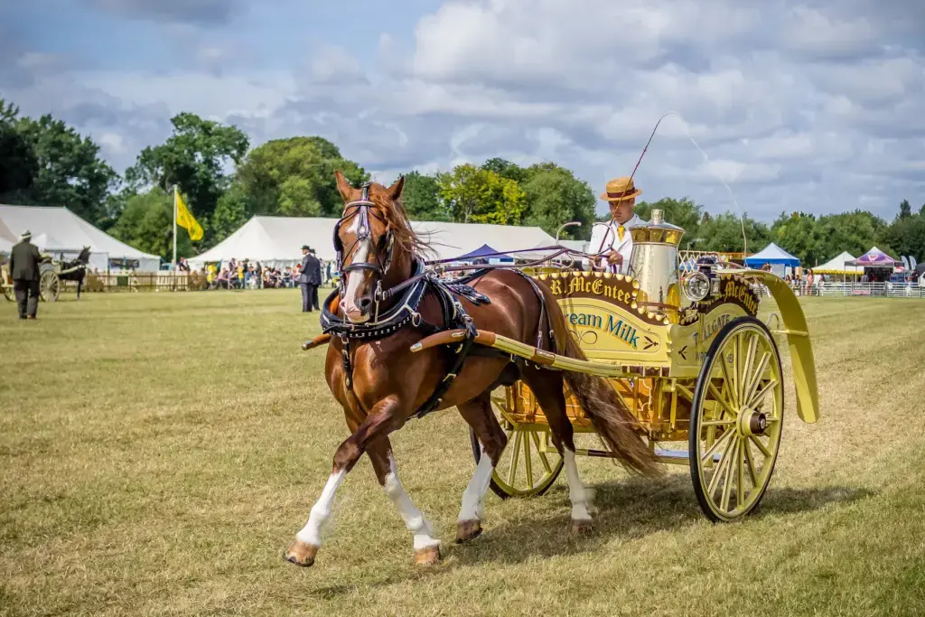 A driver guiding a harnessed horse and carriage around the driving course