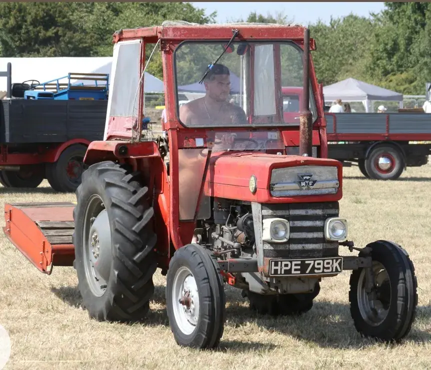 A collection of restored tractors lined up at the show